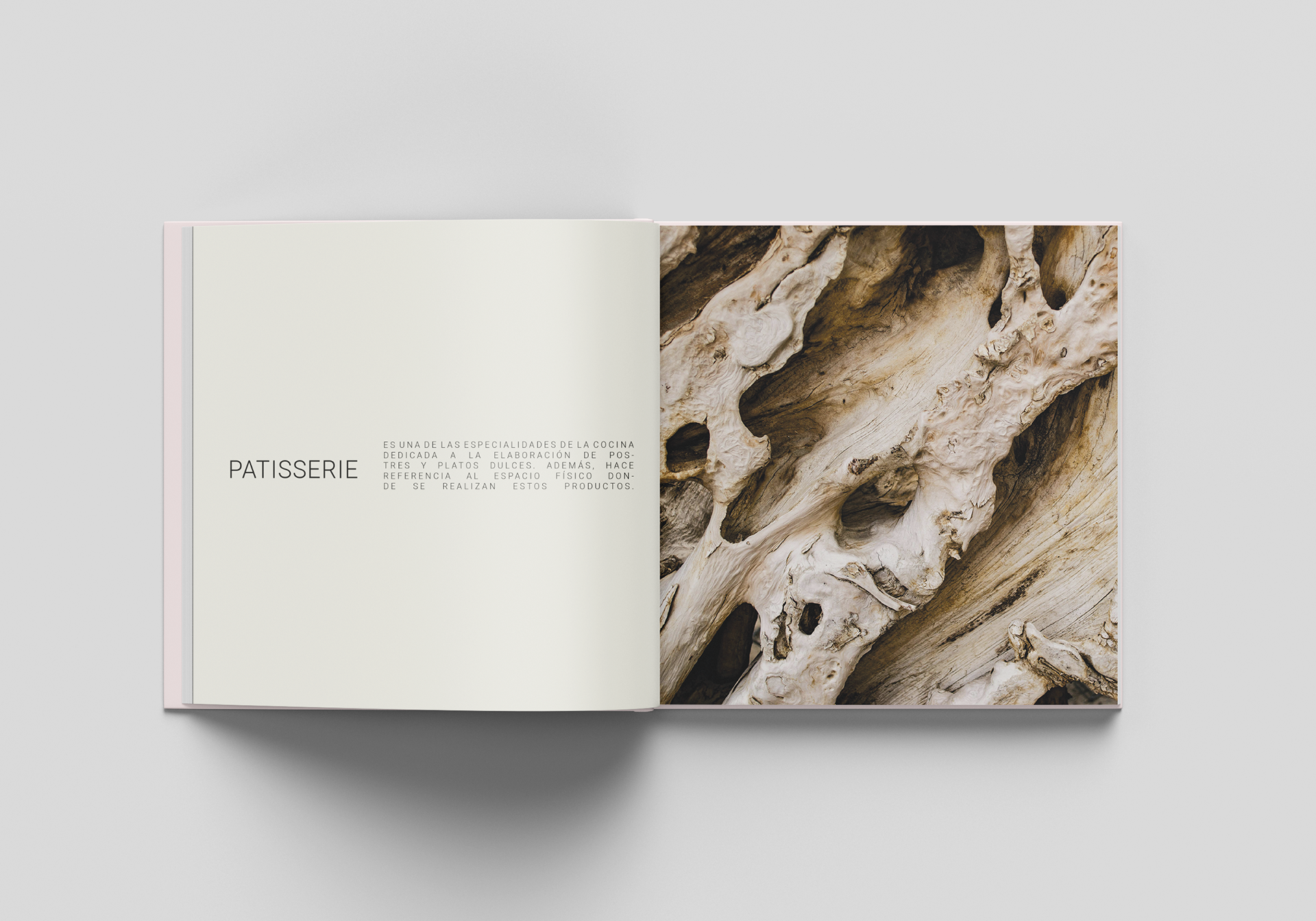 Génesis Gustativa — pieza 2