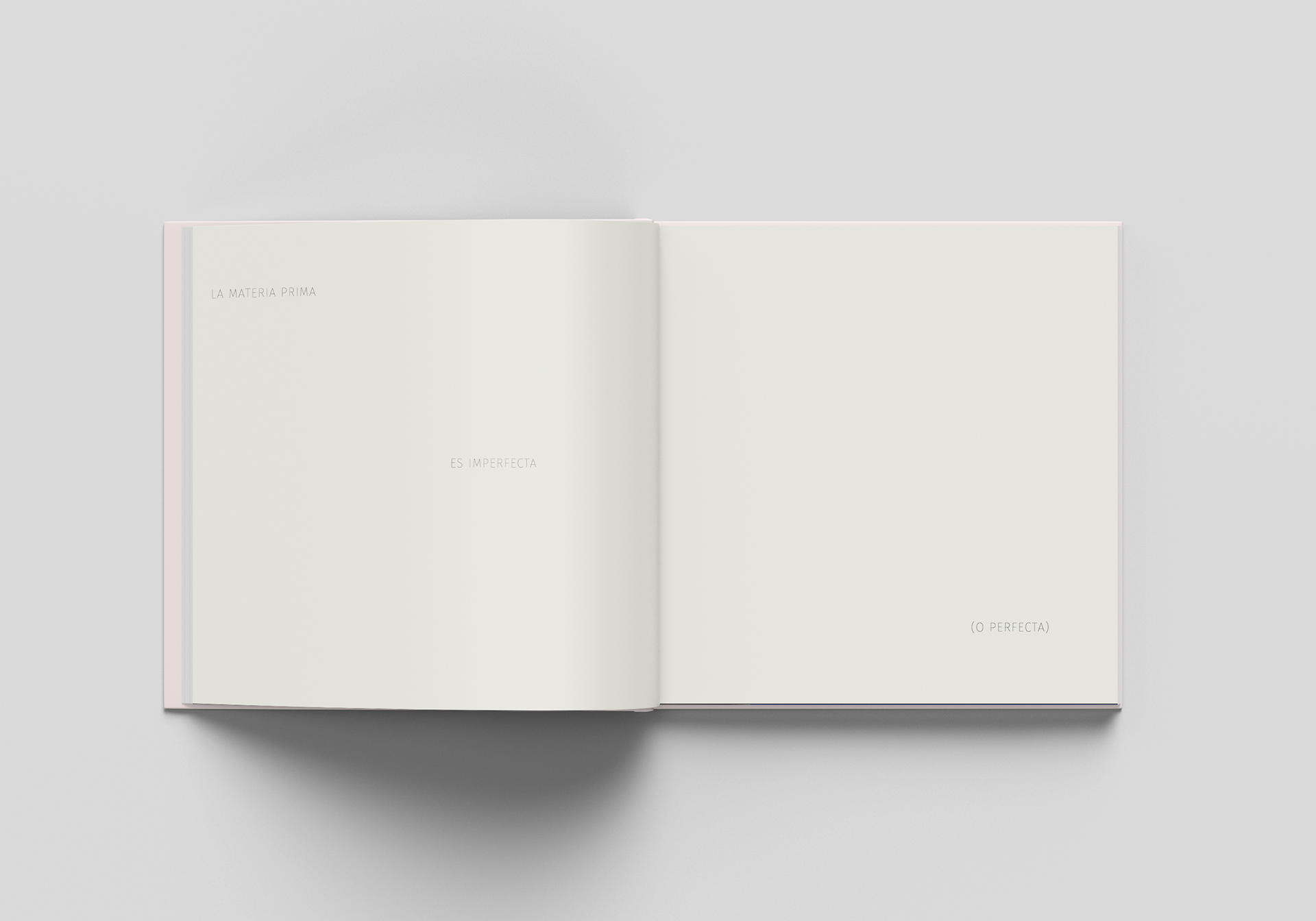 Génesis Gustativa — pieza 10